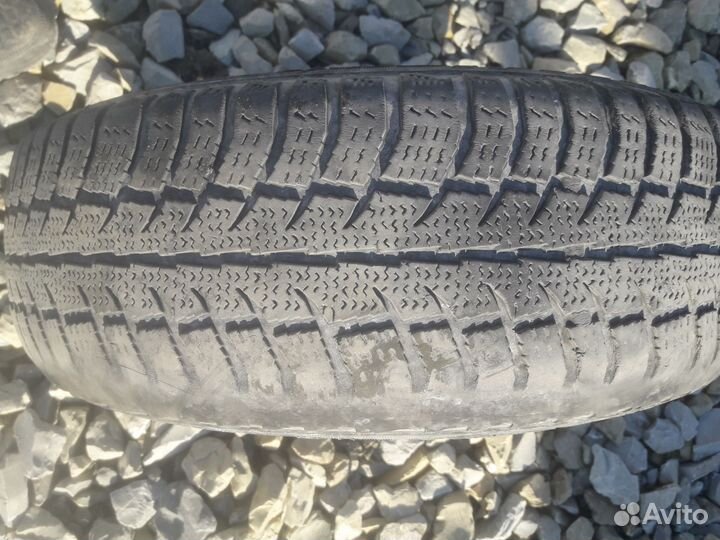 Cordiant Polar SL 175/65 R14