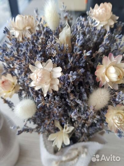 Лаванда, сухоцветы. Много