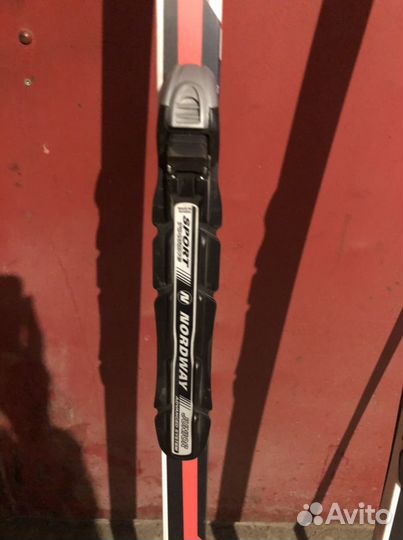 Горные лыжи