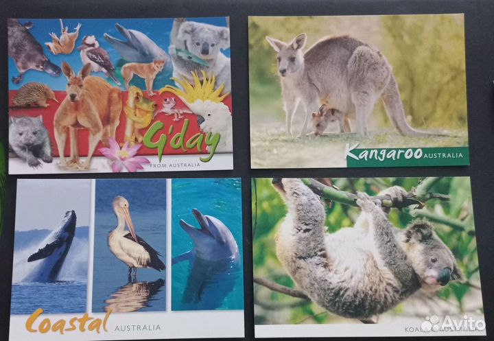 Открытки с животными Австралии