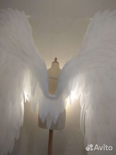 Шикарные белые крылья