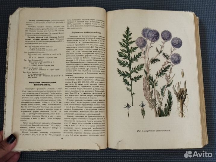 Турова Лекарственные растения СССР и их применение
