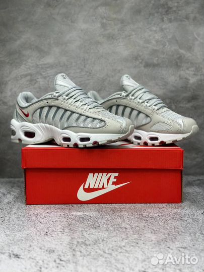 Удобные Nike Air Max Tailwind