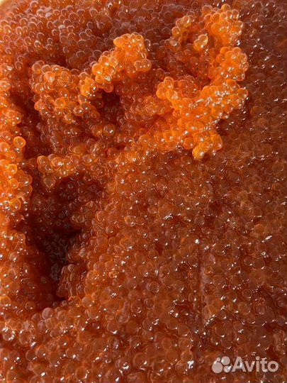 Красная икра