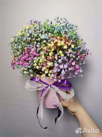 Гипсофила радужная