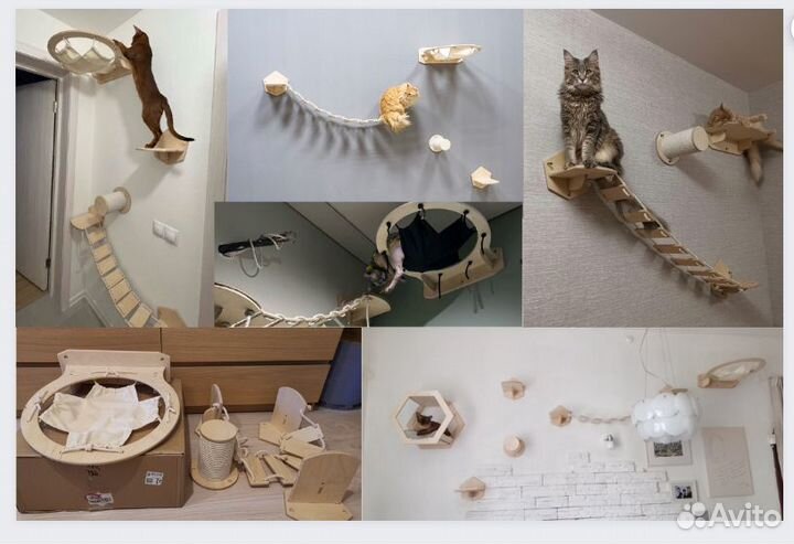 Комплекты и отдельные аксессуары для кошек