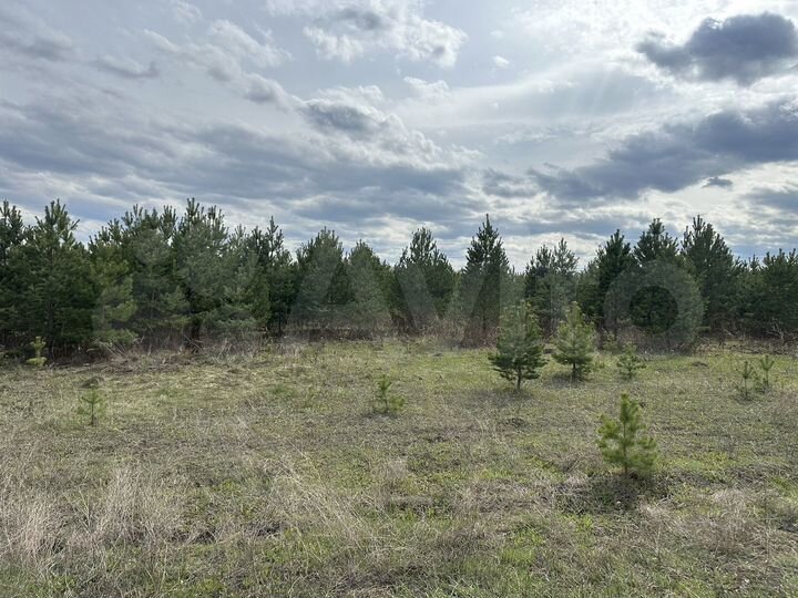 Участок 8 сот. (ИЖС)