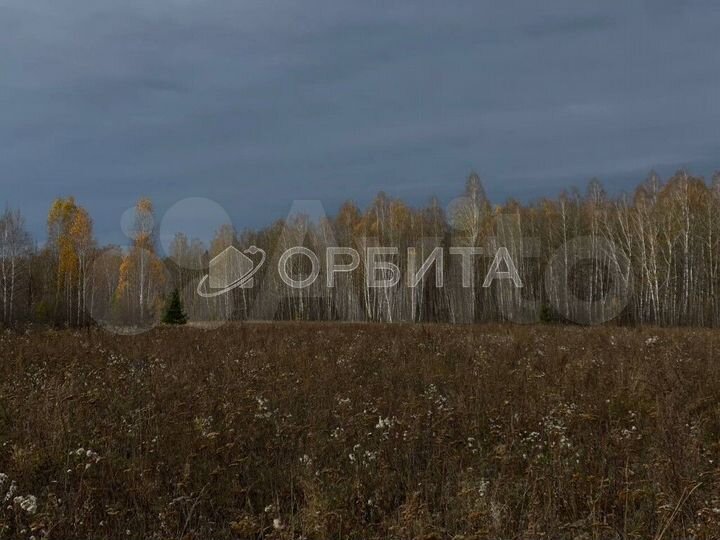 Участок 12,5 сот. (ИЖС)