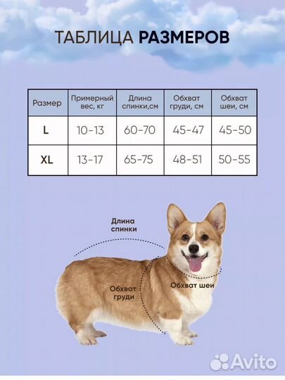 Комбинезон для корги