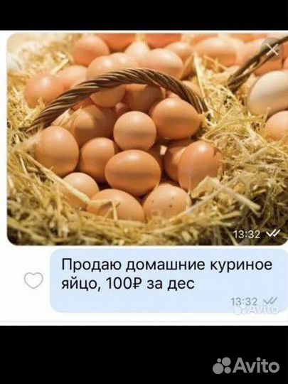 Домашние куриные яйца