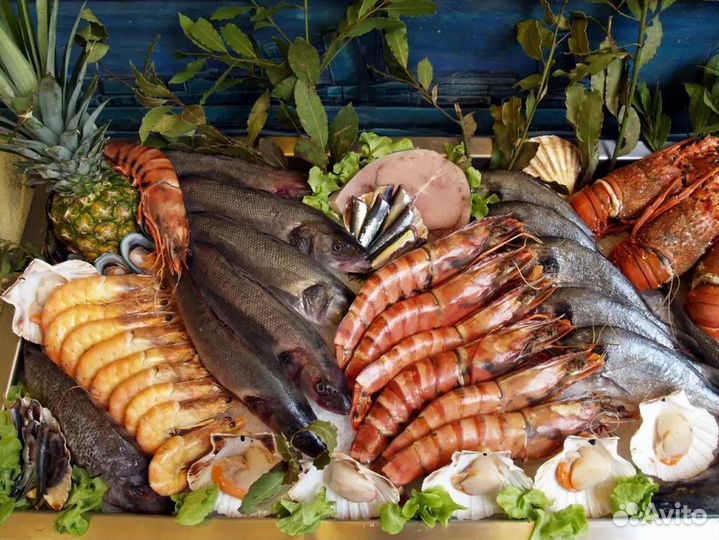 Готовый бизнес с морепродуктами, стартуй сейчас