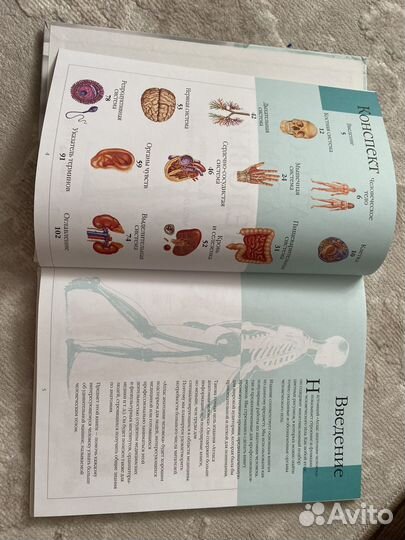 Атлас анатомии человека