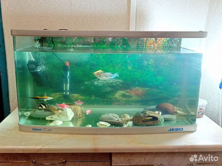 Аквариум с рыбками 10 шт