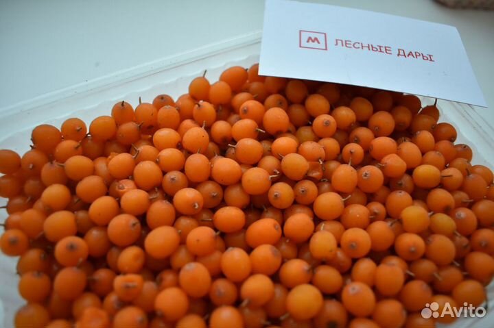 Замороженная облепиха в розницу и оптом