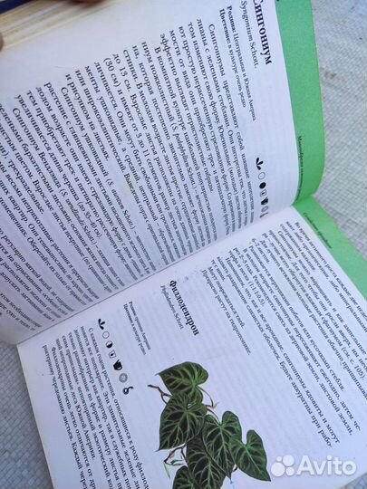 Книги о домашних растениях