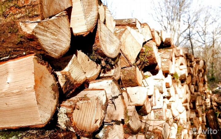 Дрова без гнили
