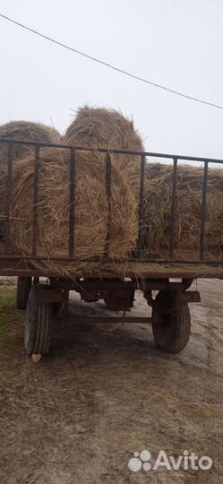 Продам сено в рулонах