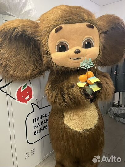 Поздравление.Чебурашка.Выписка.День рождения