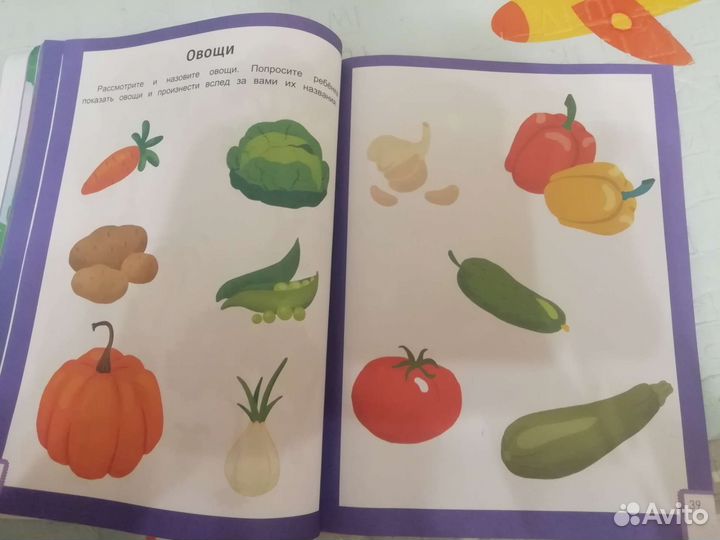 Развивающее пособие