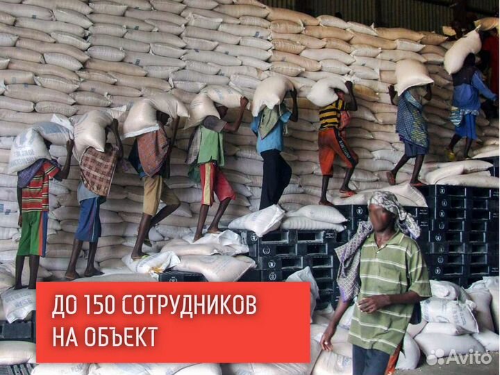 Переезды. Грузчики. Грузоперевозки