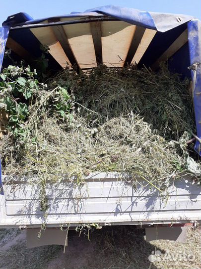 Вывоз мусора