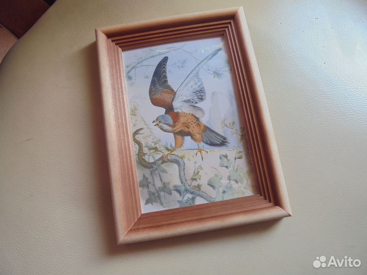 Панно 17х12 Птицы лесов и водоём рис.Э.Травье 1 шт