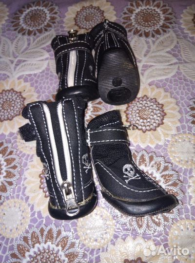 Обувь для животных