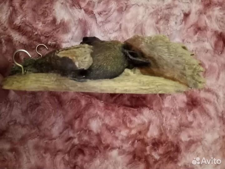 Редкая Настенная статуэтка