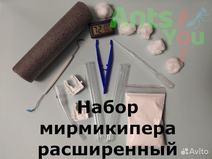 Набор для муравьёв, корм и аксессуары
