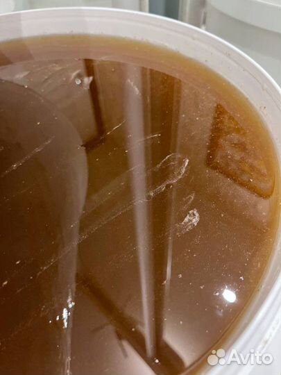 Мед кориандровый