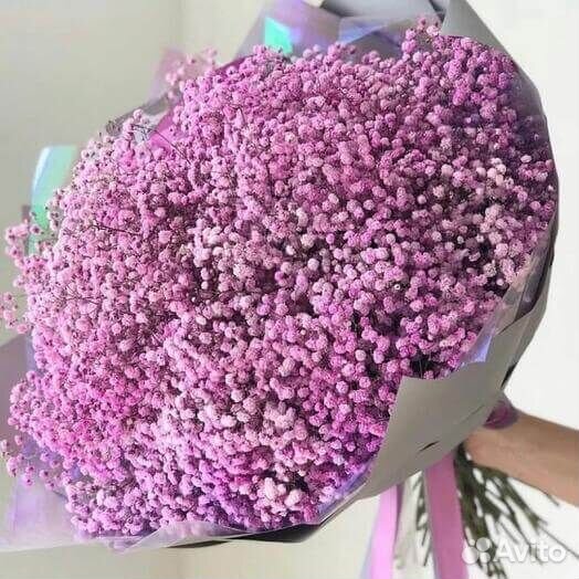 Гипсофила розовая 9 шт