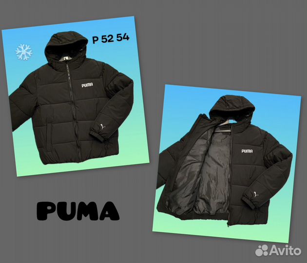 Куртка зимняя мужская kappa