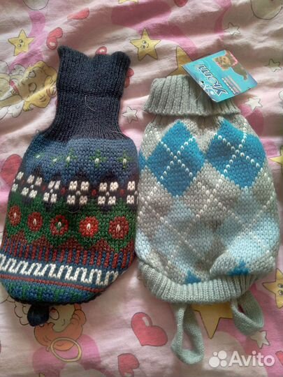 Одежда для собак