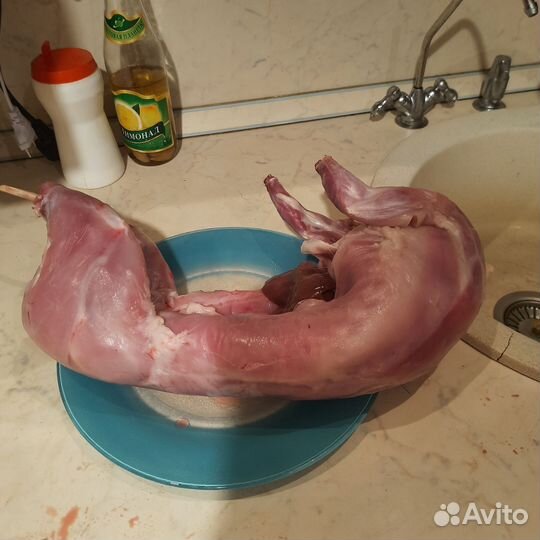 Гусь,утка, кролик