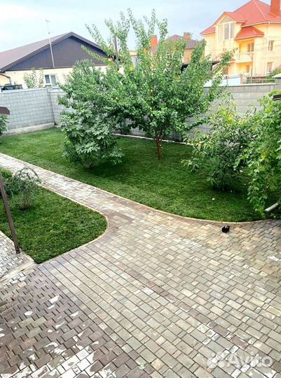 Рулонный газон от производителя