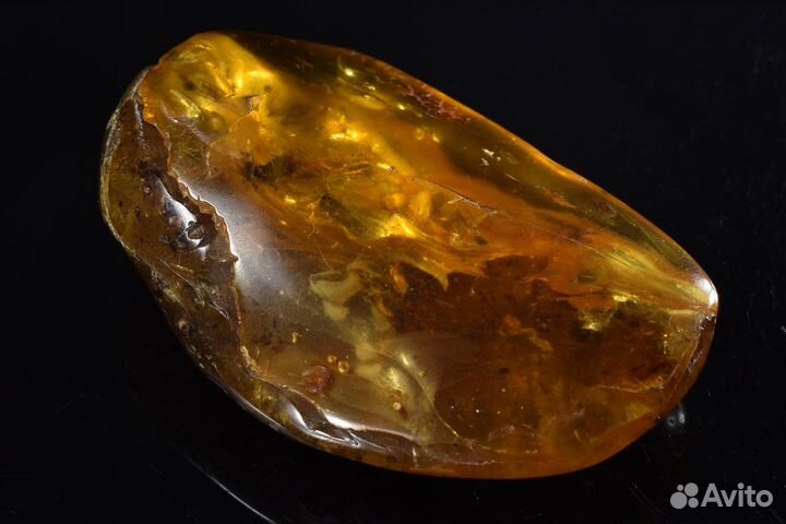 Янтарь с включениями растений (инклюз). Лот №755