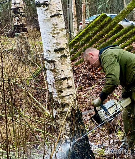 Спил деревьев обрезка веток корчевание пней