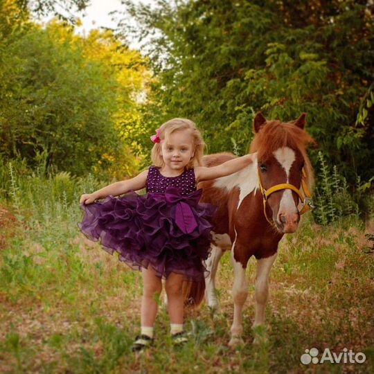Пони, лошади и единороги на детские праздники