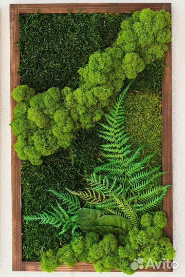 Панно из мха. Озеленение интерьера