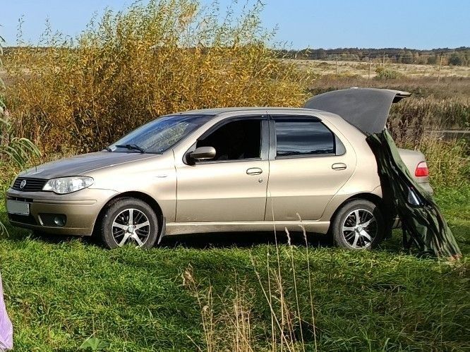 FIAT Albea: фото из отзыва