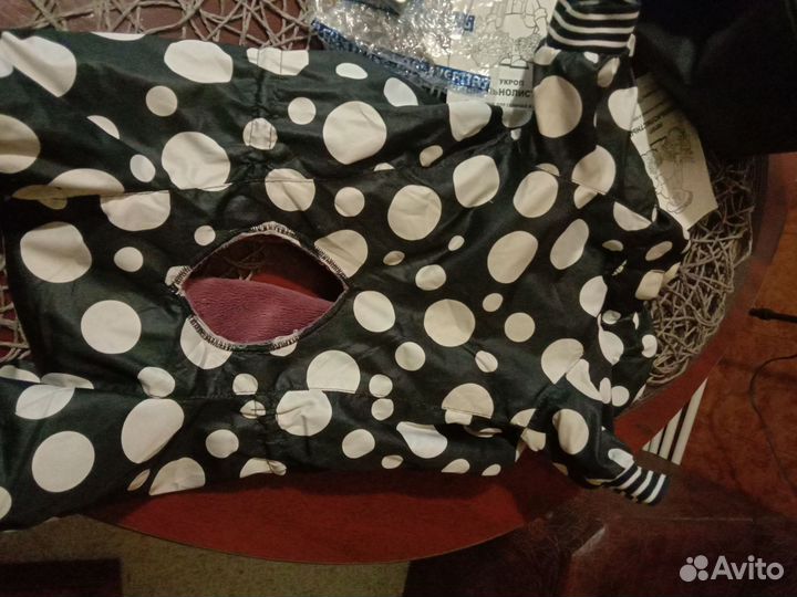 Одежда для маленьких собак