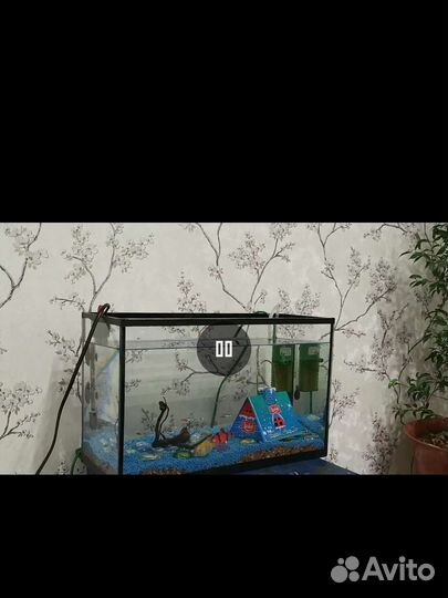 Аквариум 20 литров