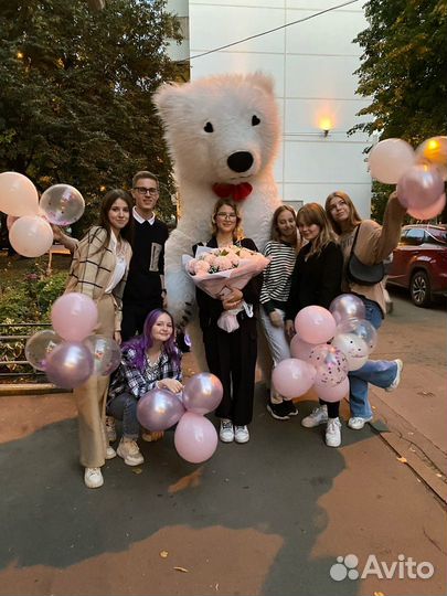 Белый мишка на поздравление