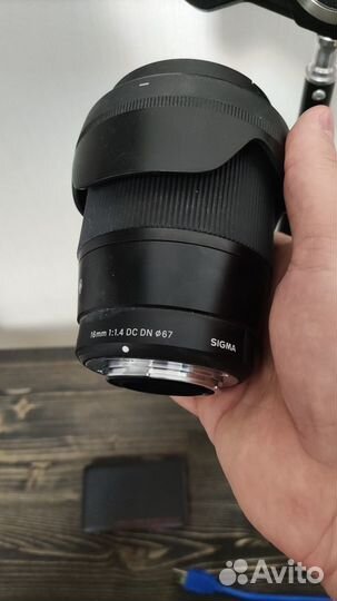 Аренда Panasonic G80 + Sigma 16mm + Свет и др