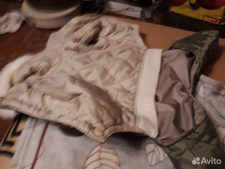 Комбинезоны для собак