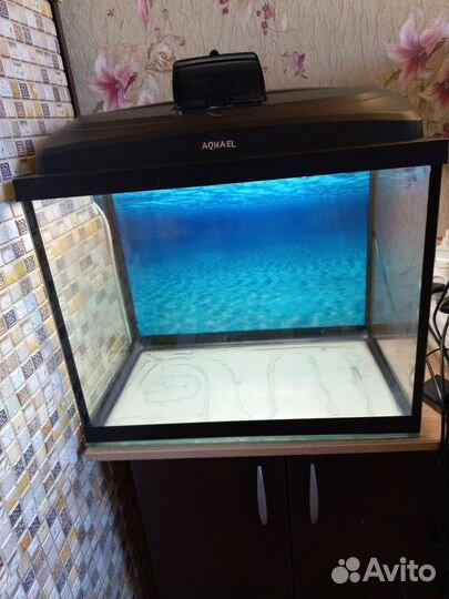 Аквариум