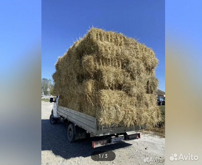 Салома от риса