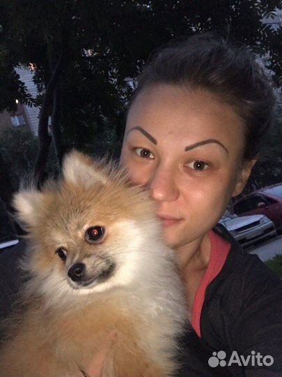 Передержка для собак