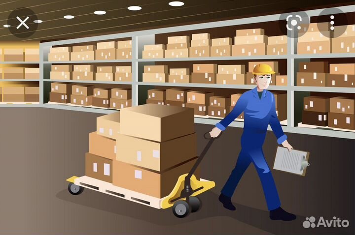 Грузчик (день или ночь)