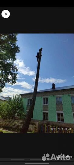 Спил и обрезка деревьев